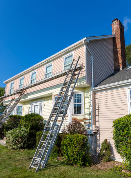 Best Shed Removal  in USA